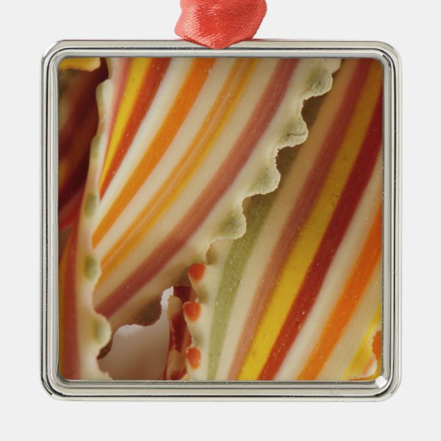  USA. Nahe Aufbereitung getrockneter Regenbogenbei Silbernes Ornament (Vorne)