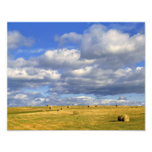 USA, Nebraska, Morrill Landkreis. Goldene Heu Fotodruck