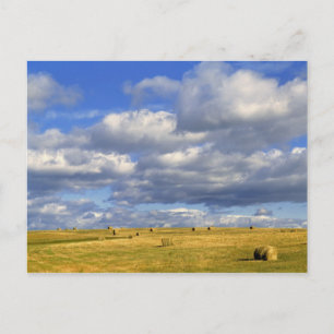 USA, Nebraska, Morrill Landkreis. Goldene Heue Postkarte