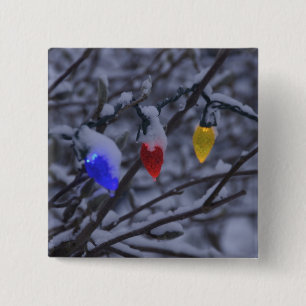 USA, Neu-England, Massachusetts, Lesung, 2 Button