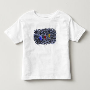 USA, Neu-England, Massachusetts, Lesung, 2 Kleinkind T-shirt