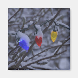 USA, Neu-England, Massachusetts, Lesung, 2 Magnet