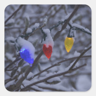 USA, Neu-England, Massachusetts, Lesung, 2 Quadratischer Aufkleber