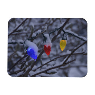 USA, Neuengland, Massachusetts, Reading, 2 Magnet