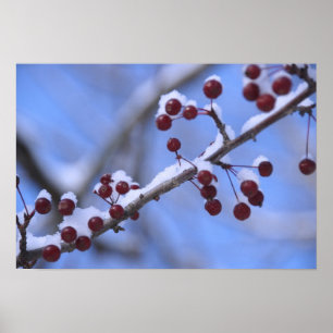 USA, Neuengland, Massachusetts, Reading, 3 Poster