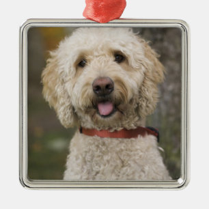 USA, Neuengland, Massachusetts, Reading, Silbernes Ornament