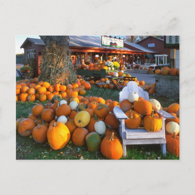 USA, New England, Maine, Wells. Herbstdarstellung Postkarte (Vorderseite)