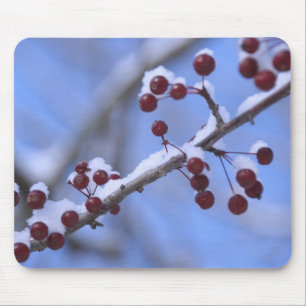 USA, New England, Massachusetts, Reading, 3 Mousepad