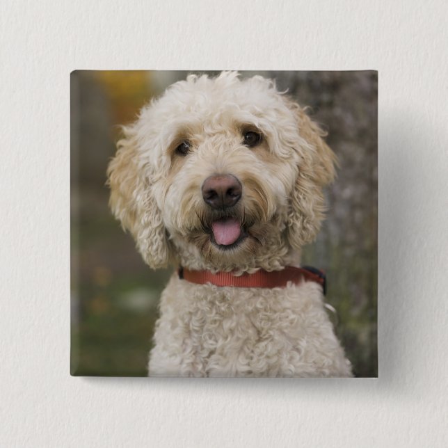 USA, New England, Massachusetts, Reading, Button (Vorderseite)