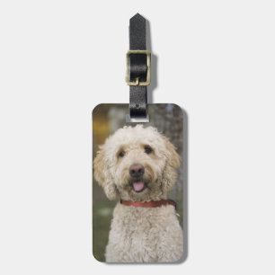 USA, New England, Massachusetts, Reading, Gepäckanhänger