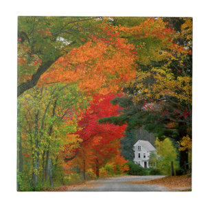 USA, New England, New Hampshire, Andover Fliese