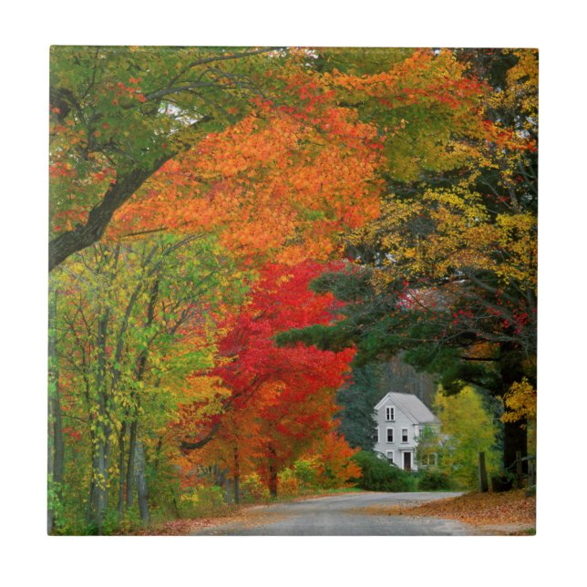 USA, New England, New Hampshire, Andover Fliese (Vorderseite)