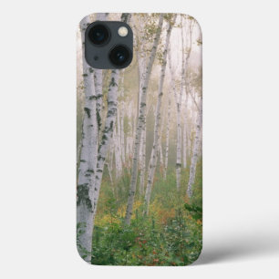 USA, New Hampshire. Birch trees in clearing fog Case-Mate iPhone Hülle
