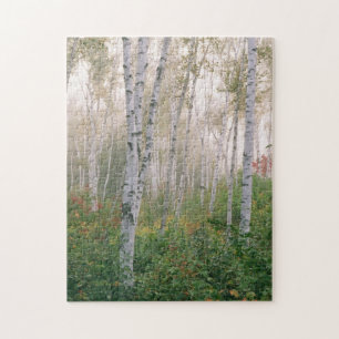 USA, New Hampshire. Birken im auflösenden Nebel Puzzle