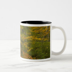 USA, New Hampshire, Livermore, White Mountain Zweifarbige Tasse