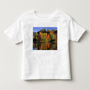 USA, New Hampshire, Moultonborough. Bäume in Kleinkind T-shirt