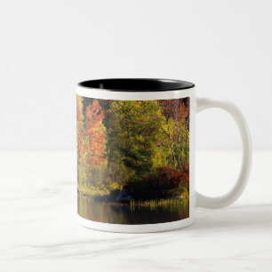 USA, New Hampshire, Moultonborough. Bäume in Zweifarbige Tasse
