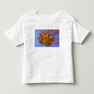 USA, New Hampshire, White Mountains, Franconia Kleinkind T-shirt