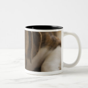 USA, New-Jersey, Jersey City, niedlicher Zweifarbige Tasse