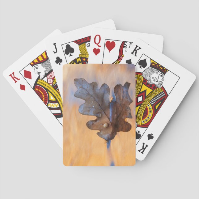 USA, New Mexico. Eichenblätter in Stream Spielkarten (Rückseite)