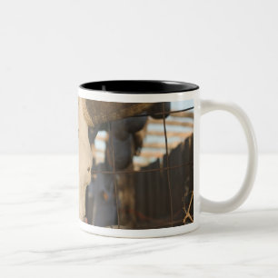 USA, New Mexico, Mesilla: Historischer Mesilla-Pla Zweifarbige Tasse
