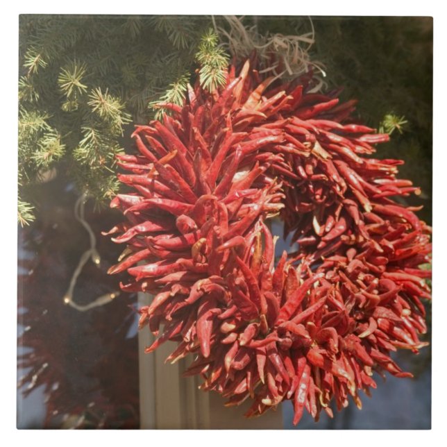 USA, New Mexico, Santa Fe: Downtown Santa Fe, 2 Fliese (Vorderseite)