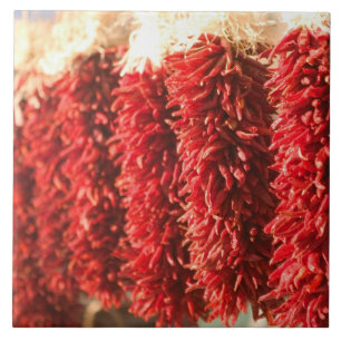 USA, New Mexico, Santa Fe: Downtown Santa Fe, 3 Fliese