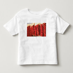 USA, New Mexico, Santa Fe: Downtown Santa Fe, 3 Kleinkind T-shirt
