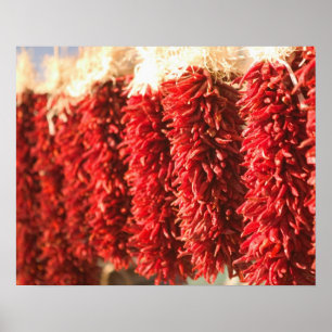 USA, New Mexico, Santa Fe: Downtown Santa Fe, 3 Poster