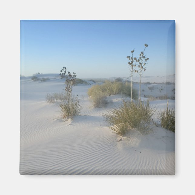 USA, New Mexico, White Sands National 2 Magnet (Vorne)