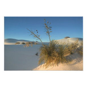 USA, New Mexico, White Sands National 3 Fotodruck