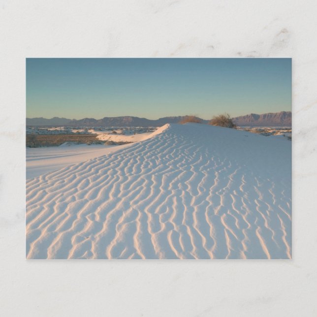 USA, New Mexico, White Sands National Postkarte (Vorderseite)