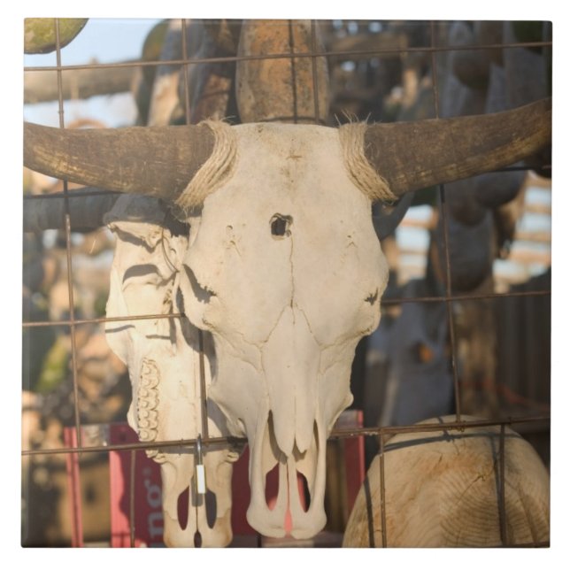 USA, New Mexiko, Mesilla: Historische Mesilla Fliese (Vorderseite)