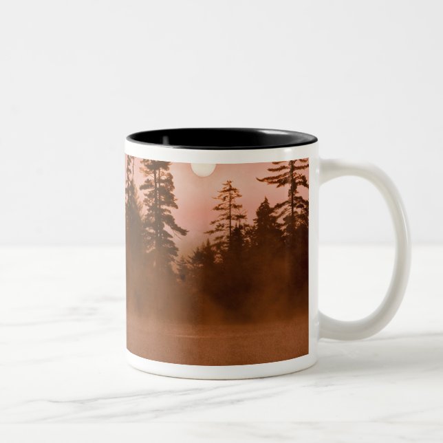 USA, New York, Adirondack Park. Sonnenaufgang Zweifarbige Tasse (Rechts)