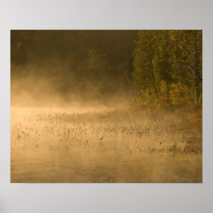 USA, New York, Adirondack Park. Sonnenaufgangsnebe Poster