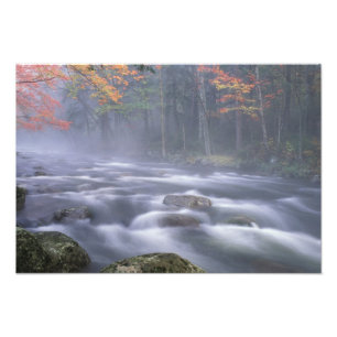 USA, New York, Adirondacks, Big Moose River Fotodruck