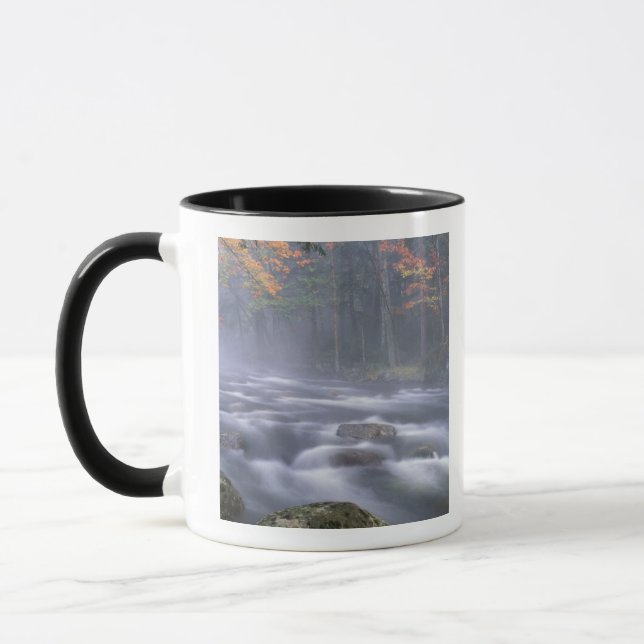 USA, New York, Adirondacks, Big Moose River Tasse (Links)