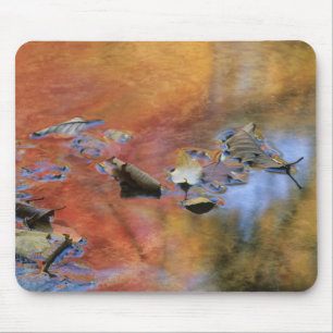 USA, New York, Adirondacks, Gefallene Blätter in Mousepad