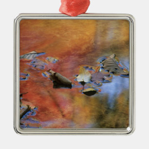 USA, New York, Adirondacks, Gefallene Blätter in Silbernes Ornament
