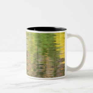 USA, New York, Adirondacks, Reflections in water Zweifarbige Tasse
