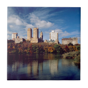 USA, New York City, Central Park, Lake Fliese