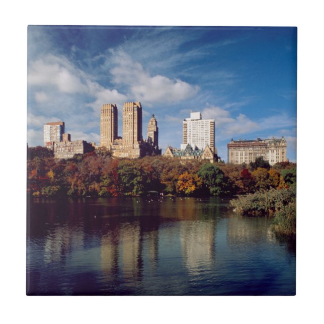 USA, New York City, Central Park, Lake Fliese (Vorderseite)
