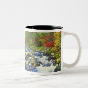USA, New York. Ein Wasserfall in den Adirondack Zweifarbige Tasse