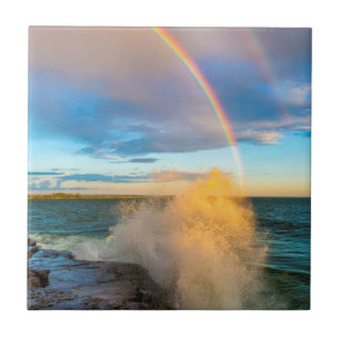 USA, New York, Lake Ontario, Clark's Point Fliese