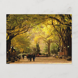 USA, New York, New York City. 12 Postkarte