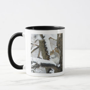 USA, New York, New York City, Eichhörnchensitzen Tasse