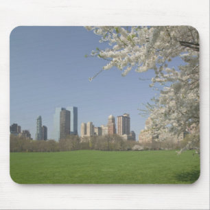 USA, New York, New York City, Manhattan:19 Mousepad