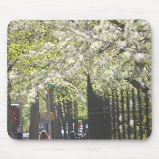 USA, New York, New York City, Manhattan:8 Mousepad (Vorne)