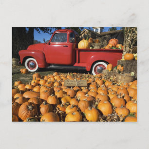USA, New York, Peconic, Kürbisfarm mit Lieferwagen Postkarte