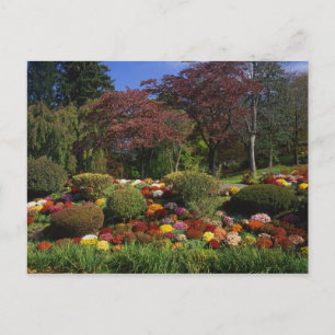 USA, New York, Saugerties, Seamon Park. Herbst Postkarte